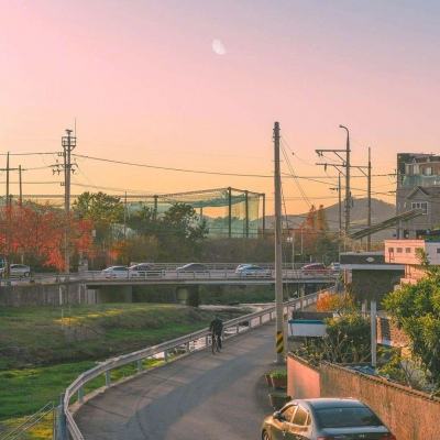 六道仙踪内购破解下载